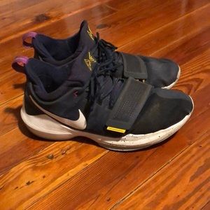 PG1